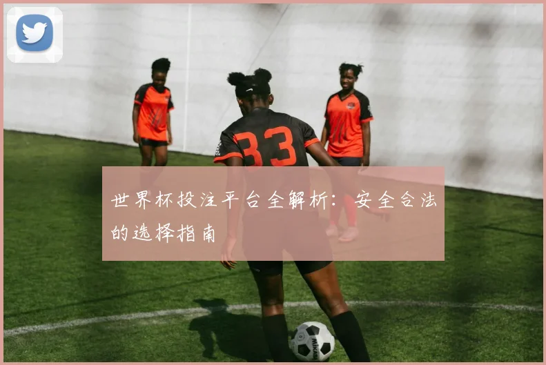 世界杯投注平台全解析:安全合法的选择指南
