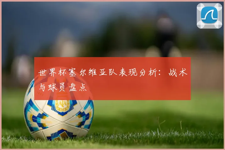 世界杯塞尔维亚队表现分析：战术与球员盘点